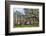 USA, South Carolina, Yemassee, Old Sheldon Church Ruins-Hollice Looney-Framed Photographic Print