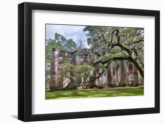 USA, South Carolina, Yemassee, Old Sheldon Church Ruins-Hollice Looney-Framed Photographic Print