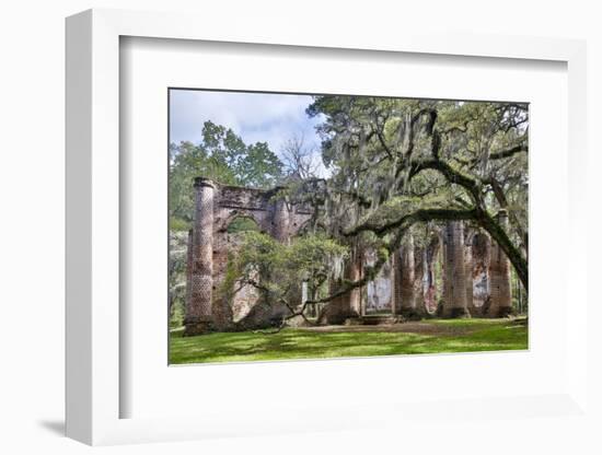 USA, South Carolina, Yemassee, Old Sheldon Church Ruins-Hollice Looney-Framed Photographic Print