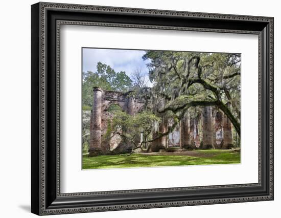 USA, South Carolina, Yemassee, Old Sheldon Church Ruins-Hollice Looney-Framed Photographic Print