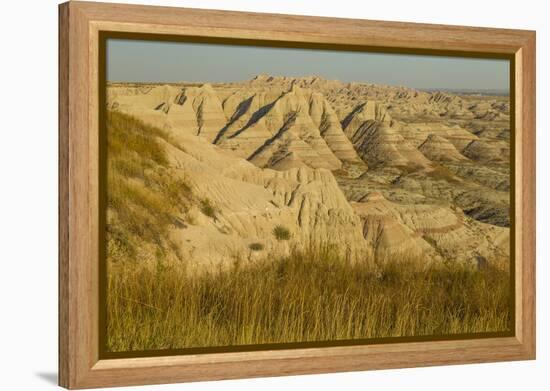 USA, South Dakota, Badlands NP. Grass and Eroded Formations-Cathy & Gordon Illg-Framed Premier Image Canvas