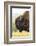 USA, South Dakota, Custer State Park. Profile of Bison-Cathy & Gordon Illg-Framed Photographic Print