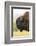 USA, South Dakota, Custer State Park. Profile of Bison-Cathy & Gordon Illg-Framed Photographic Print