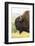 USA, South Dakota, Custer State Park. Profile of Bison-Cathy & Gordon Illg-Framed Photographic Print