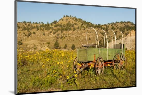 USA, South Dakota, Wild Horse Sanctuary. Scenic with Vintage Wagon-Cathy & Gordon Illg-Mounted Photographic Print