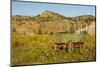 USA, South Dakota, Wild Horse Sanctuary. Scenic with Vintage Wagon-Cathy & Gordon Illg-Mounted Photographic Print