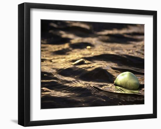 USA, Southeast Alaska, Ketchik-Savanah Plank-Framed Photo