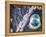 USA, Southeast Alaska, Ketchik-Savanah Plank-Framed Stretched Canvas