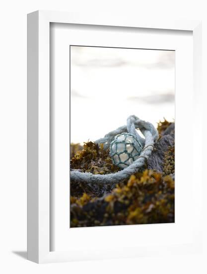 USA, Southeast Alaska Near Ketchikan, Japanese Glass Fishing Float-Savanah Stewart-Framed Photographic Print