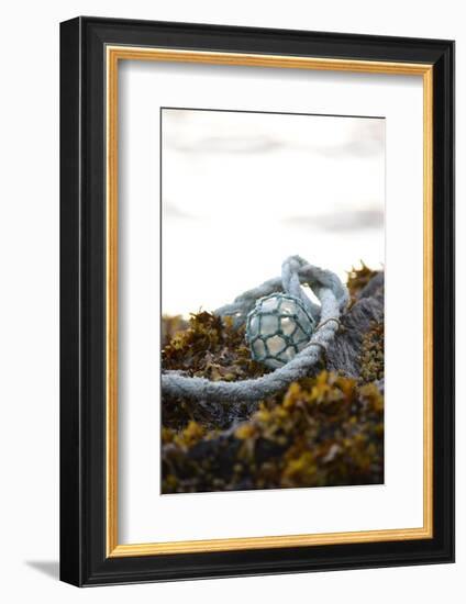 USA, Southeast Alaska Near Ketchikan, Japanese Glass Fishing Float-Savanah Stewart-Framed Photographic Print