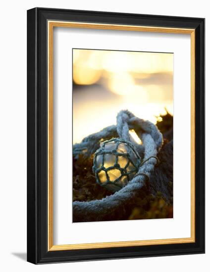 USA, Southeast Alaska Near Ketchikan, Japanese Glass Fishing Float-Savanah Stewart-Framed Photographic Print