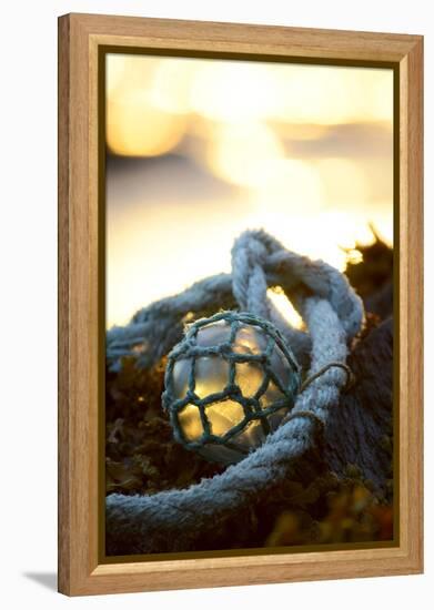 USA, Southeast Alaska Near Ketchikan, Japanese Glass Fishing Float-Savanah Stewart-Framed Premier Image Canvas