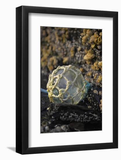 USA, Southeast Alaska Near Ketchikan, Japanese Glass Fishing Float-Savanah Stewart-Framed Photographic Print