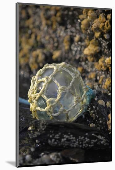 USA, Southeast Alaska Near Ketchikan, Japanese Glass Fishing Float-Savanah Stewart-Mounted Photographic Print