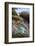 USA, Southeast Alaska Near Ketchikan, Japanese Glass Fishing Float-Savanah Stewart-Framed Photographic Print