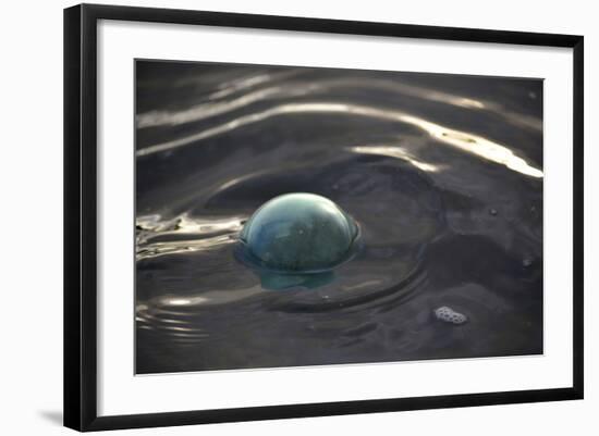 USA, Southeast Alaska Near Ketchikan, Japanese Glass Fishing Float-Savanah Stewart-Framed Photographic Print