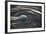 USA, Southeast Alaska Near Ketchikan, Japanese Glass Fishing Float-Savanah Stewart-Framed Photographic Print