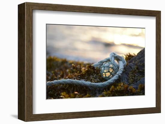 USA, Southeast Alaska Near Ketchikan, Japanese Glass Fishing Float-Savanah Stewart-Framed Photographic Print