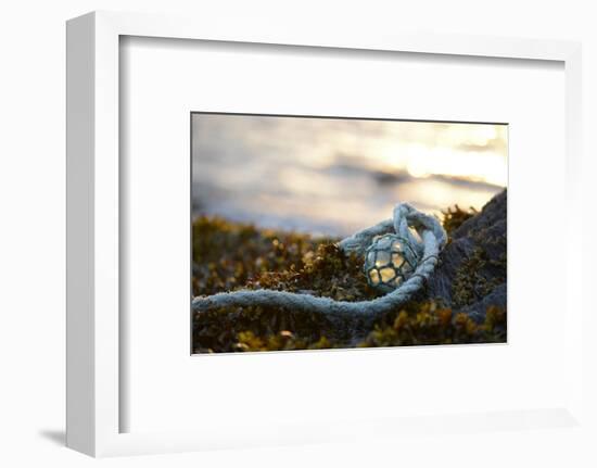 USA, Southeast Alaska Near Ketchikan, Japanese Glass Fishing Float-Savanah Stewart-Framed Photographic Print