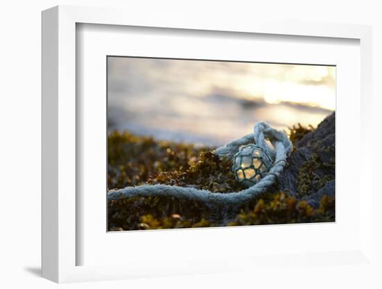 USA, Southeast Alaska Near Ketchikan, Japanese Glass Fishing Float-Savanah Stewart-Framed Photographic Print