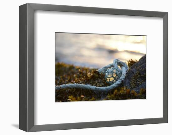 USA, Southeast Alaska Near Ketchikan, Japanese Glass Fishing Float-Savanah Stewart-Framed Photographic Print