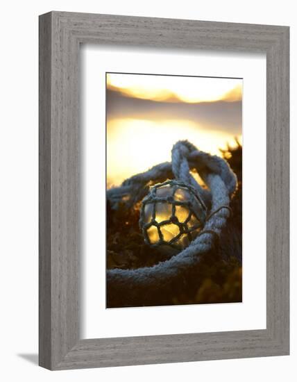 USA, Southeast Alaska Near Ketchikan, Japanese Glass Fishing Float-Savanah Stewart-Framed Photographic Print