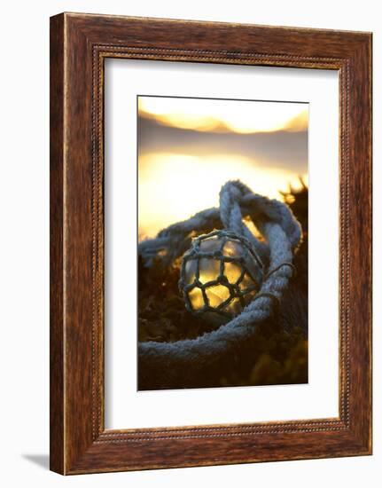 USA, Southeast Alaska Near Ketchikan, Japanese Glass Fishing Float-Savanah Stewart-Framed Photographic Print