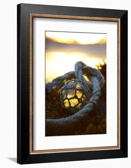 USA, Southeast Alaska Near Ketchikan, Japanese Glass Fishing Float-Savanah Stewart-Framed Photographic Print