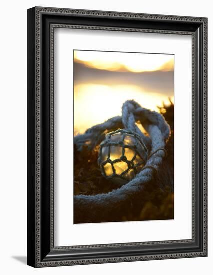 USA, Southeast Alaska Near Ketchikan, Japanese Glass Fishing Float-Savanah Stewart-Framed Photographic Print