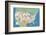 USA States and Capitals-Janell Genovese-Framed Art Print