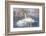 USA, Sublette County, Wyoming. group of Trumpeter Swans stands and rests on an ice-covered pond-Elizabeth Boehm-Framed Photographic Print