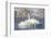 USA, Sublette County, Wyoming. group of Trumpeter Swans stands and rests on an ice-covered pond-Elizabeth Boehm-Framed Photographic Print