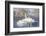 USA, Sublette County, Wyoming. group of Trumpeter Swans stands and rests on an ice-covered pond-Elizabeth Boehm-Framed Photographic Print