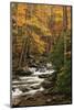 USA, Tennesse. Fall foliage along a stream in the Smoky Mountains.-Joanne Wells-Mounted Photographic Print