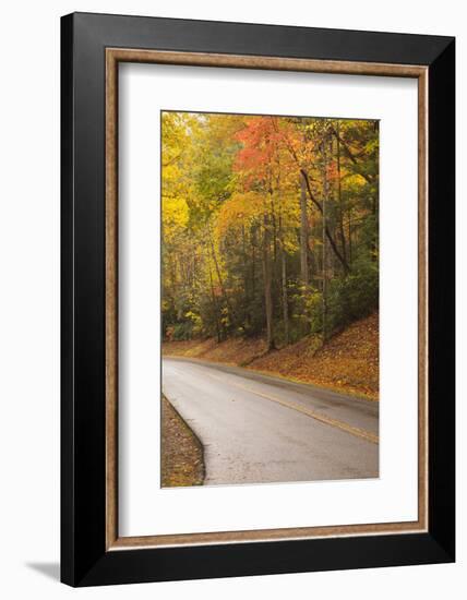 USA, Tennesse. Fall foliage along road to Cades Cove.-Joanne Wells-Framed Photographic Print
