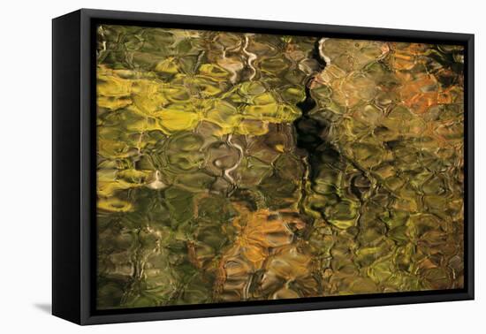 USA, Tennesse. Fall reflections in the Little River-Joanne Wells-Framed Premier Image Canvas