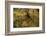 USA, Tennesse. Fall reflections in the Little River-Joanne Wells-Framed Photographic Print