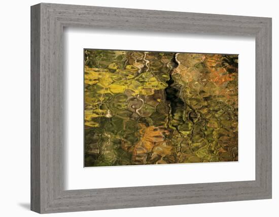 USA, Tennesse. Fall reflections in the Little River-Joanne Wells-Framed Photographic Print