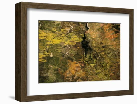 USA, Tennesse. Fall reflections in the Little River-Joanne Wells-Framed Photographic Print