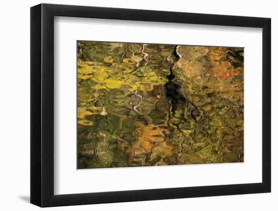 USA, Tennesse. Fall reflections in the Little River-Joanne Wells-Framed Photographic Print