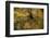 USA, Tennesse. Fall reflections in the Little River-Joanne Wells-Framed Photographic Print
