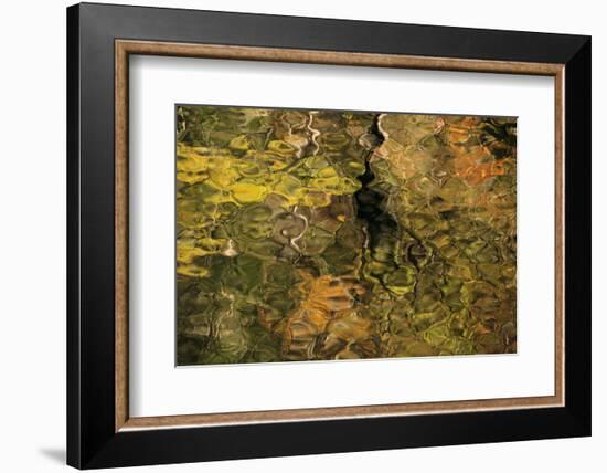 USA, Tennesse. Fall reflections in the Little River-Joanne Wells-Framed Photographic Print