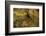 USA, Tennesse. Fall reflections in the Little River-Joanne Wells-Framed Photographic Print