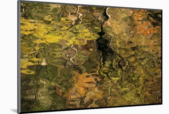 USA, Tennesse. Fall reflections in the Little River-Joanne Wells-Mounted Photographic Print