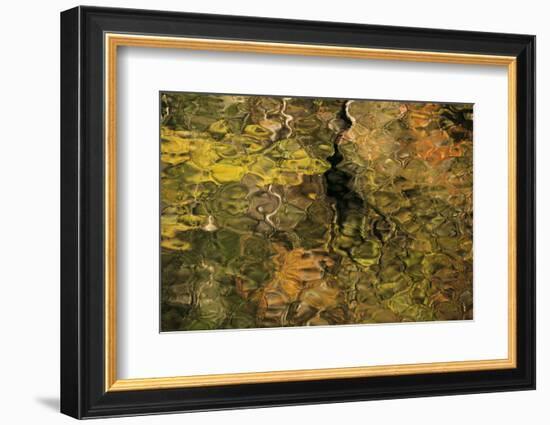 USA, Tennesse. Fall reflections in the Little River-Joanne Wells-Framed Photographic Print