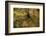 USA, Tennesse. Fall reflections in the Little River-Joanne Wells-Framed Photographic Print