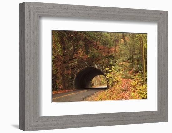 USA, Tennesse. Tunnel along the road to Cades Cove in the fall.-Joanne Wells-Framed Photographic Print