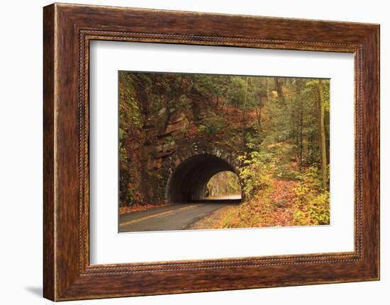 USA, Tennesse. Tunnel along the road to Cades Cove in the fall.-Joanne Wells-Framed Photographic Print