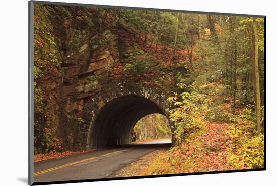 USA, Tennesse. Tunnel along the road to Cades Cove in the fall.-Joanne Wells-Mounted Photographic Print