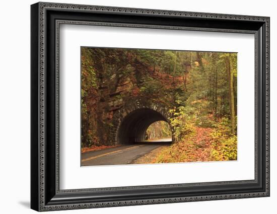 USA, Tennesse. Tunnel along the road to Cades Cove in the fall.-Joanne Wells-Framed Photographic Print